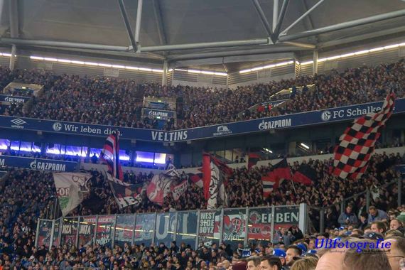 FC Schalke 04 vs Bayer 04 Leverkusen (1-2) (2)