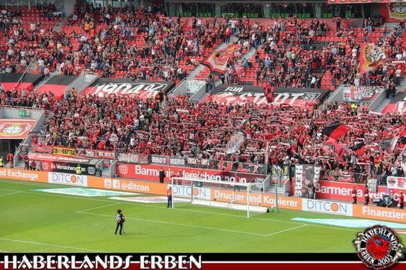 Bayer 04 Leverkusen vs VfL Wolfsburg (1-3) (2)