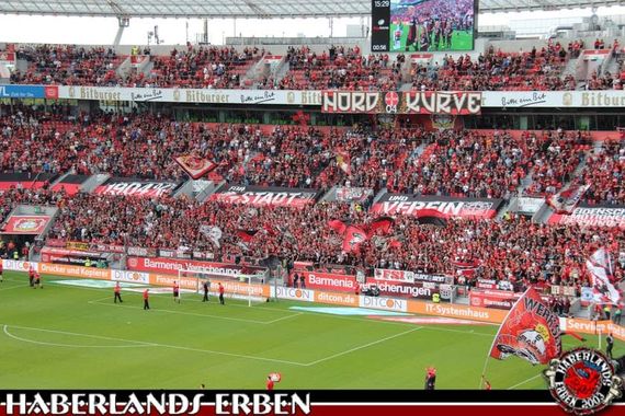 Bayer 04 Leverkusen vs VfL Wolfsburg (1-3) (6)