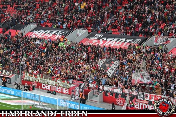 Bayer 04 Leverkusen vs SC Freiburg (2-0) (3)