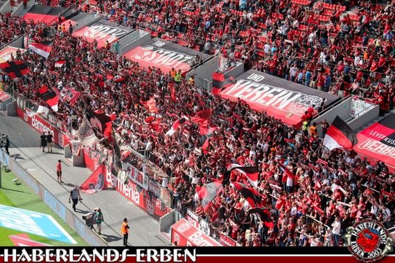 Bayer 04 Leverkusen vs 1. FC Nürnberg (2-0) (1)