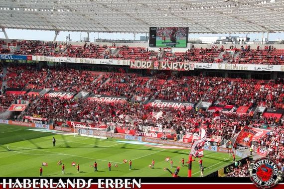 Bayer 04 Leverkusen vs 1. FC Nürnberg (2-0) (2)