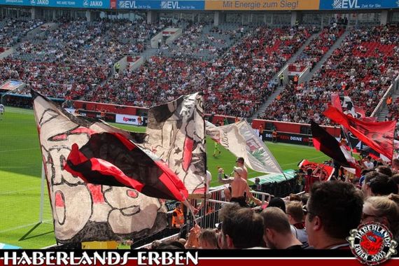 Bayer 04 Leverkusen vs 1. FC Nürnberg (2-0) (7)