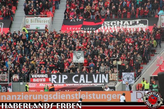 Bayer 04 Leverkusen vs 1. FSV Mainz 05 (1-0) (6)