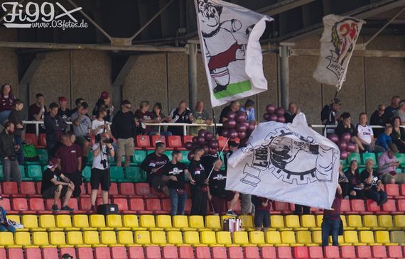 Berliner FC Dynamo vs SV Babelsberg 03 (0-3) (1)