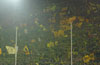 Borussia Dortmund vs Hertha BSC (2-0)