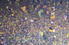 Borussia Dortmund vs Werder Bremen (0-1)