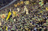 Borussia Dortmund vs Borussia Mönchengladbach (1-0)