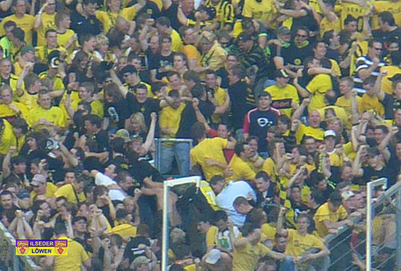 VfL Wolfsburg vs Borussia Dortmund (0-2) (5)