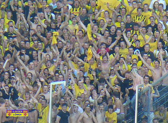 VfL Wolfsburg vs Borussia Dortmund (0-2) (8)