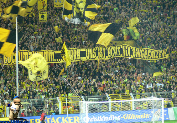 Borussia Dortmund vs VfL Bochum (1-1) (7)