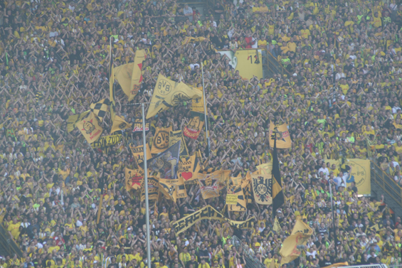 Borussia Dortmund vs FC Energie Cottbus (3-0) (3)