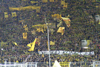 Borussia Dortmund vs Hamburger SV (0-3)