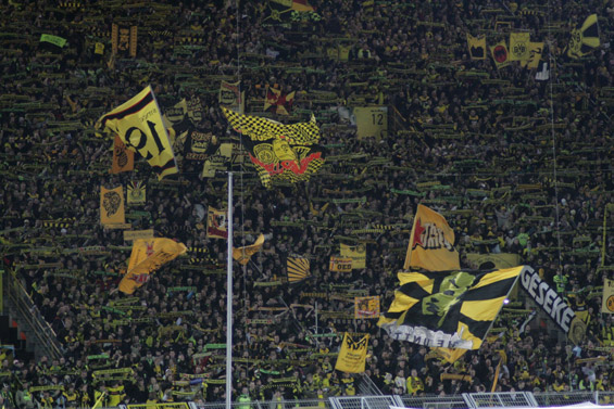 Borussia Dortmund vs TSG Hoffenheim (3-1) (3)