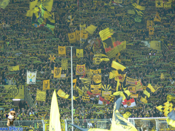 Borussia Dortmund vs VfL Bochum (1-1) (5)