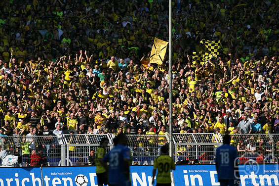 Borussia Dortmund vs TSG Hoffenheim (1-1) (10)