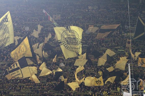 Borussia Dortmund vs 1. FC Köln (1-0) (7)