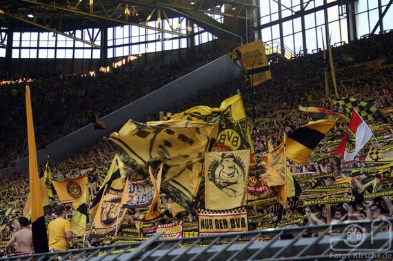 Borussia Dortmund vs SC Freiburg (3-0) (19)