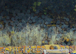 Borussia Dortmund vs Hamburger SV (3-1)