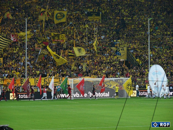Borussia Dortmund vs Hamburger SV (3-1) (3)
