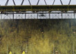 Borussia Dortmund vs Real Madrid (4-1)
