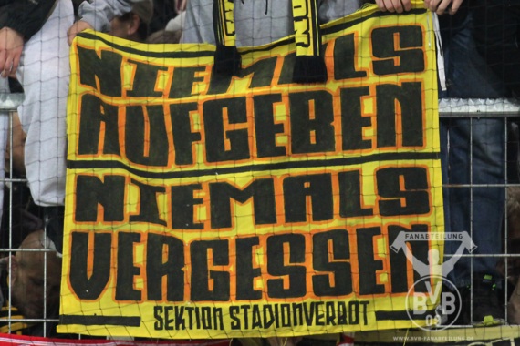 1. FSV Mainz 05 vs Borussia Dortmund (1-2) (10)