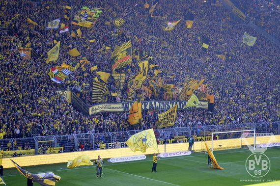 Borussia Dortmund vs SC Paderborn (3-0) (3)