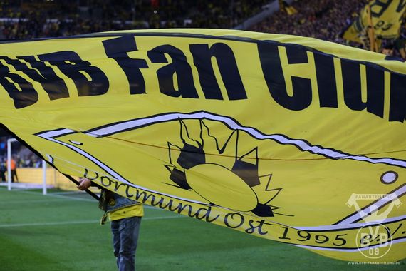 Borussia Dortmund vs SC Paderborn (3-0) (8)