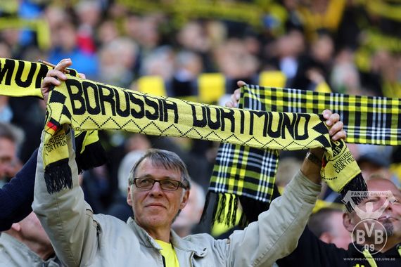 Borussia Dortmund vs SC Paderborn (3-0) (11)
