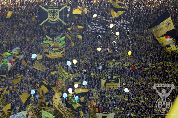 Borussia Dortmund vs SC Paderborn (3-0) (23)