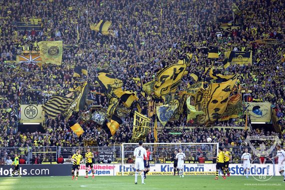 Borussia Dortmund vs SC Paderborn (3-0) (36)