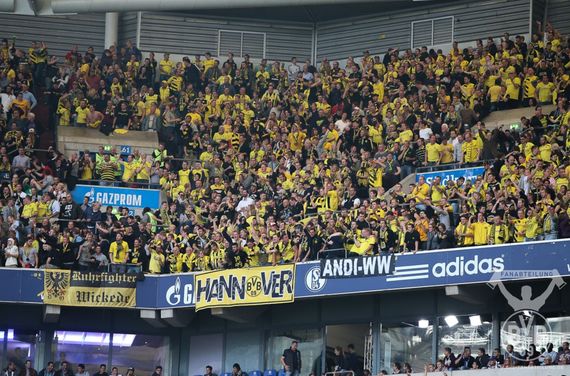 FC Schalke 04 vs Borussia Dortmund (2-1) (14)