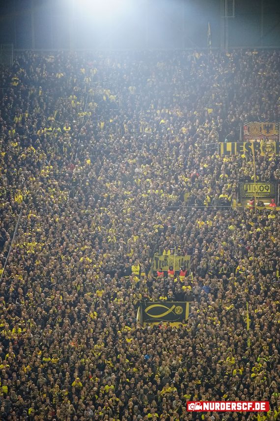 Borussia Dortmund vs SC Freiburg (2-0) (5)