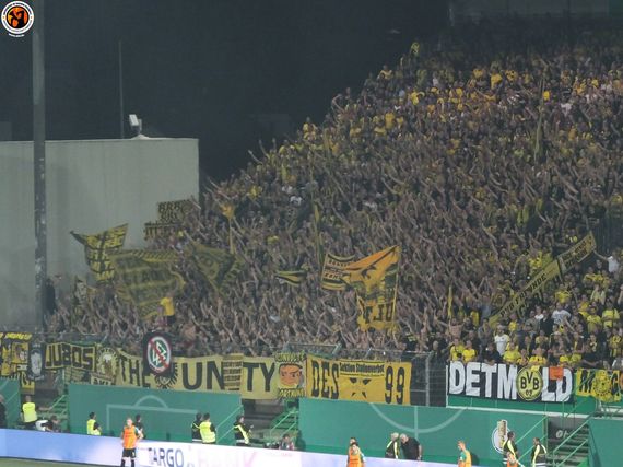 SpVgg Fürth vs Borussia Dortmund (1-2 n.V.) (8)