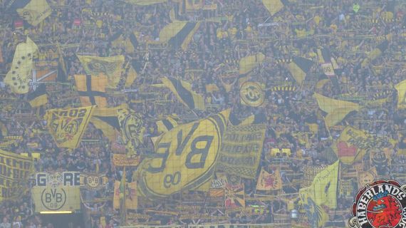 Borussia Dortmund vs Bayer 04 Leverkusen (4-0) (8)