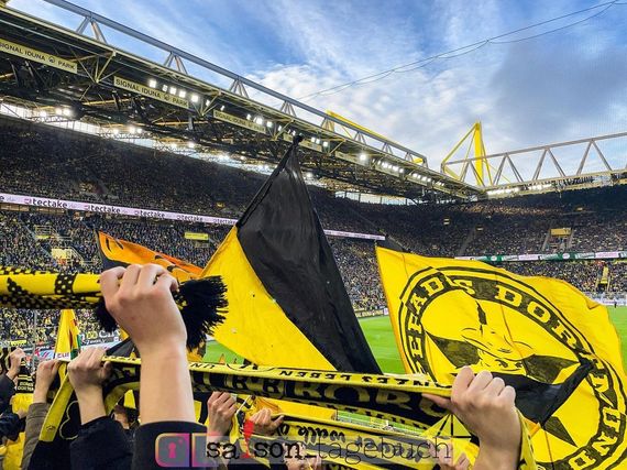 Borussia Dortmund vs 1. FC Köln (2-0) (7)