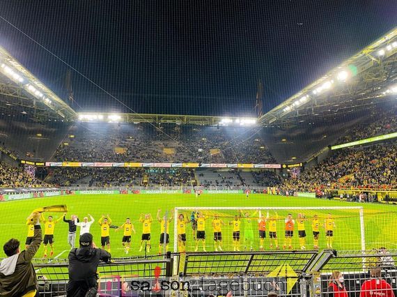 Borussia Dortmund vs TSG Hoffenheim (3-2) (9)