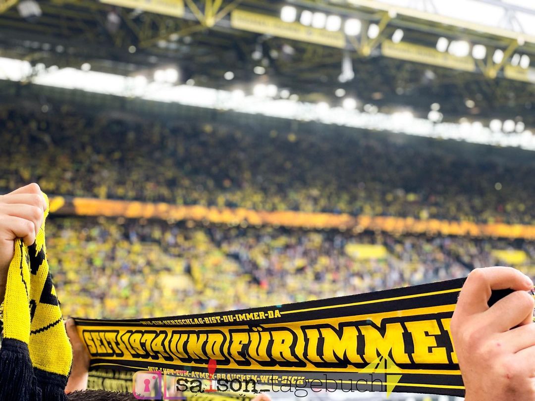 Borussia Dortmund vs FC Augsburg (2-1) (9)