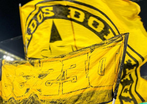 Borussia Dortmund vs FC Ingolstadt 04 (2-0)