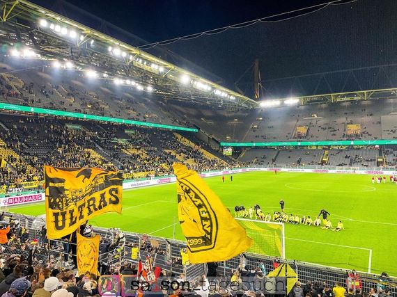 Borussia Dortmund vs FC Ingolstadt 04 (2-0) (3)