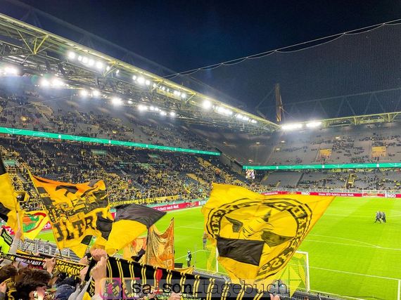 Borussia Dortmund vs FC Ingolstadt 04 (2-0) (5)