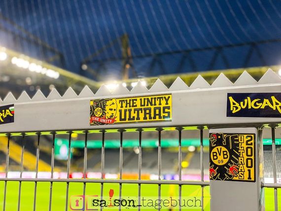 Borussia Dortmund vs FC Ingolstadt 04 (2-0) (6)