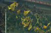 Borussia Dortmund II vs FC St. Pauli (1-1)