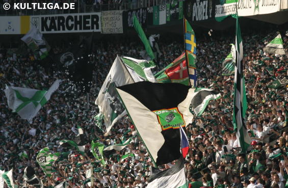 Borussia Mönchengladbach vs VfL Bochum (2-2) (1)