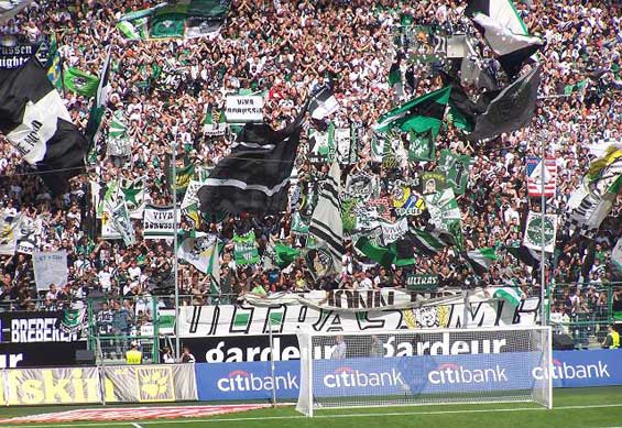 Borussia Mönchengladbach vs FC Energie Cottbus (2-0) (3)