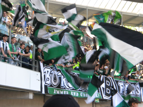 Hannover 96 vs Borussia Mönchengladbach (1-0) (25)