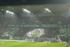 Borussia Mönchengladbach vs 1. FC Köln (2-2)