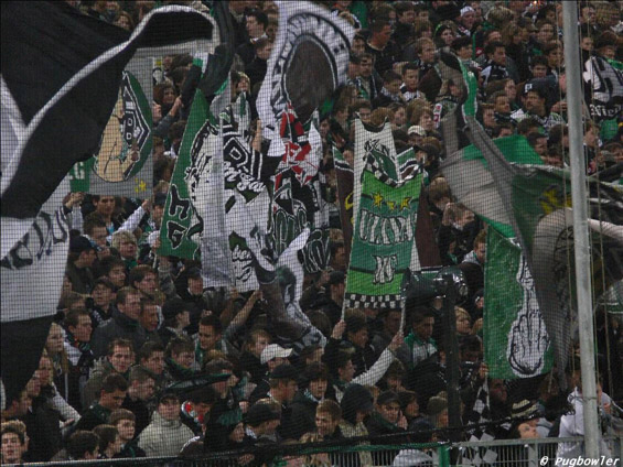 Borussia Mönchengladbach vs Offenbacher FC Kickers (3-0) (11)