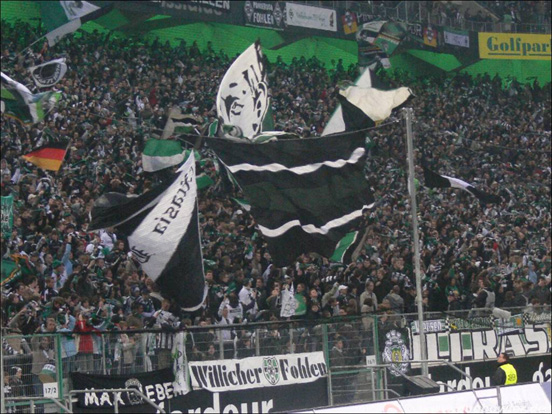Borussia Mönchengladbach vs FC Erzgebirge Aue (2-0) (6)