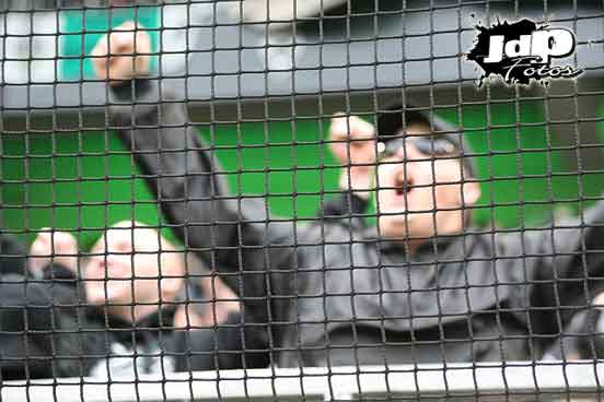 Borussia Mönchengladbach vs TuS Koblenz (1-0) (14)